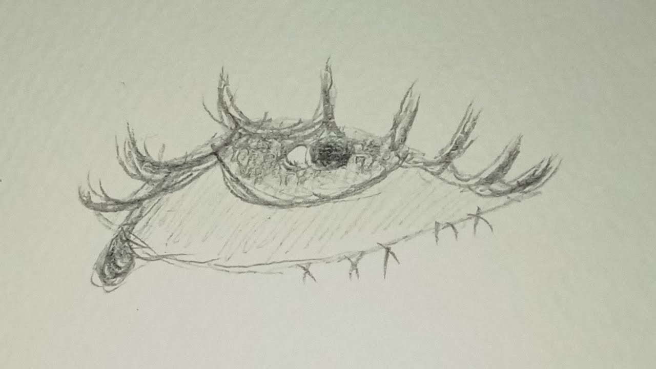 Draw to female eyes easy step by step 