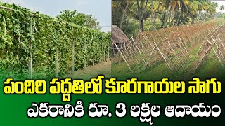 High Profits with Vegetable Cultivation with Pendal System || Farming Techniques || SumanTV Rythu