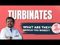 What are Turbinates? Why do turbinates swell?