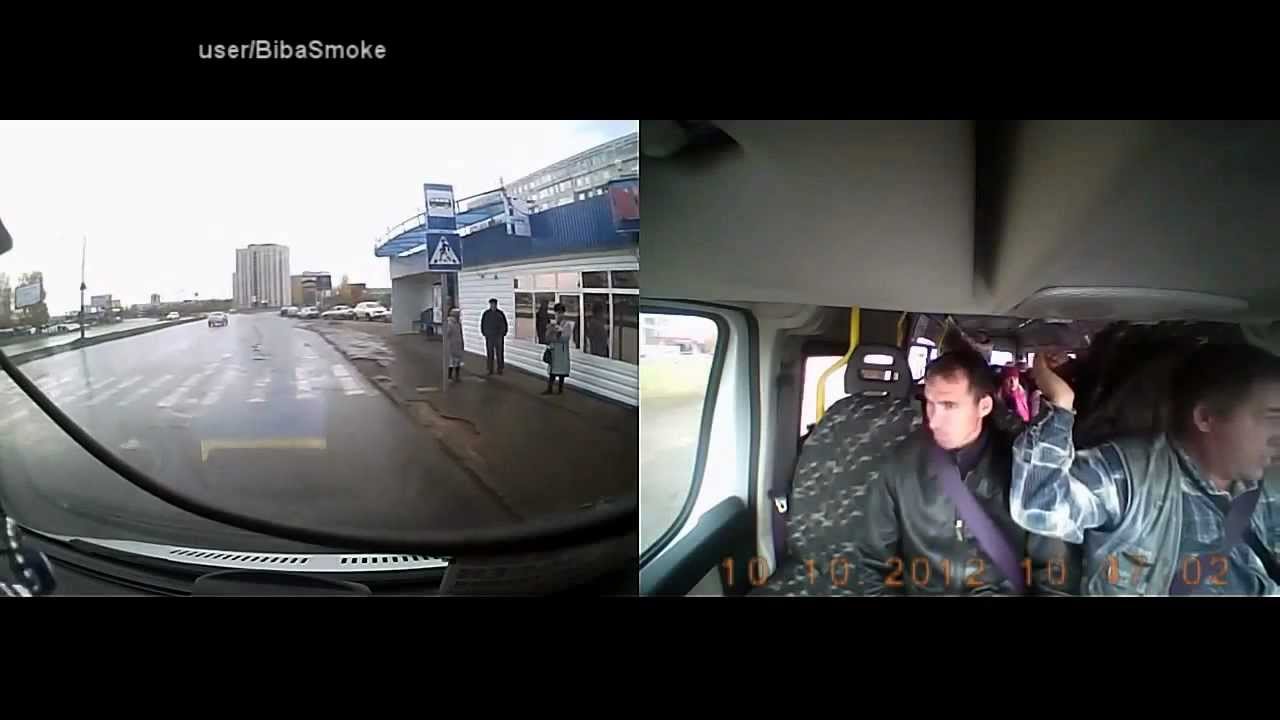 Курицы на дорогах подборка видеорегистраторов