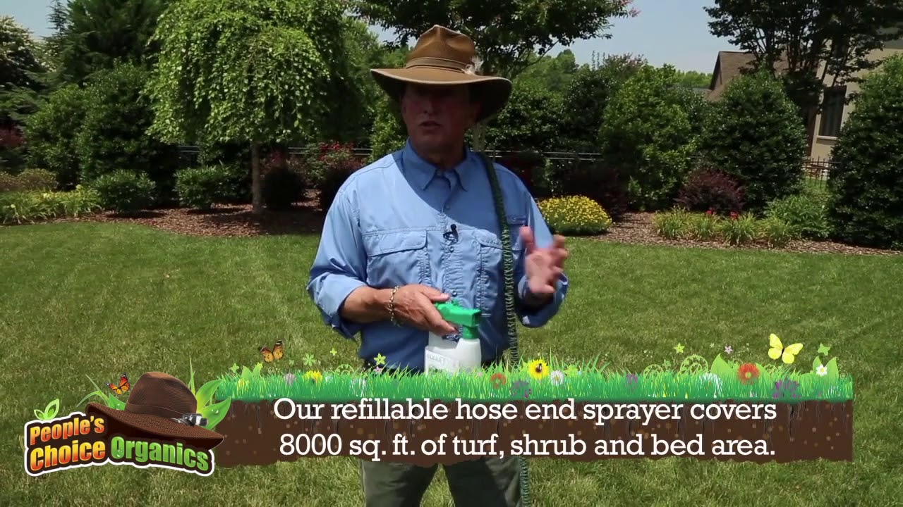 The Best Organic Turf Care Program