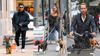 Celebrities And Their Dogs