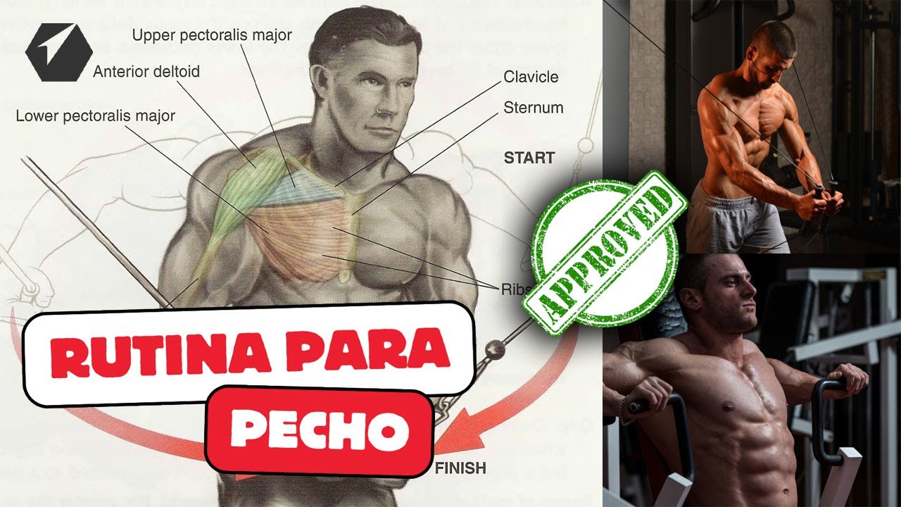 La rutina PERFECTA para PECHO 2025(¡EVITA LOS ERRORES!) - YouTube