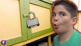 SECRET MYSTERY SHEDS! Searching for Map Nest Clues by HobbyKidsTV