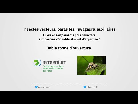 Vidéo: Diversité Et évolution Du Répertoire Des éléments Transposables Chez Les Arthropodes Avec Une Référence Particulière Aux Insectes