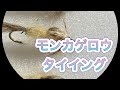 モンカゲロウニンフ　タイイング