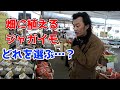 畑でジャガイモ栽培 始めます！！【カーメン君の畑】【カーメン君】【園芸】【初心者】