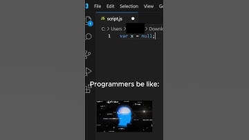 Programmers