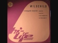 Video thumbnail for Wildchild - Renegade Master (Tall Paul Mix).wmv