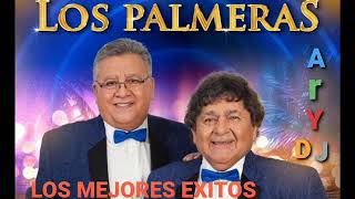 Los mejores éxitos de los palmeras enganchados - ARY DJ