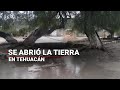 Video de Tehuacán
