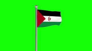 Флаг Западной Сахары хромакей футаж | Flag Western Sahara chromakey footage