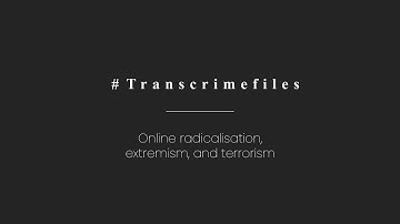 #Transcrimefiles | Online radicalisation, extremism, and terrorism (EU-funded ALLIES project)