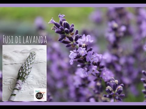 Come preparare la colonia di lavanda | Beauty