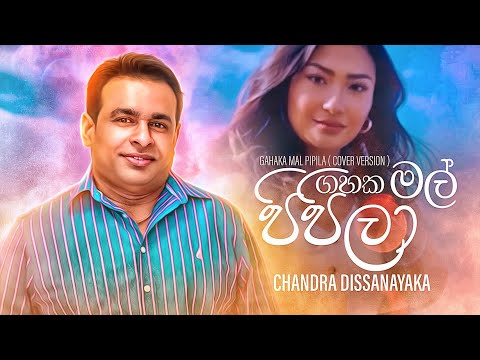 Gahaka Mal Pipila Cover Chandra Dissanayaka Official Lyric Video 2021 Youtube