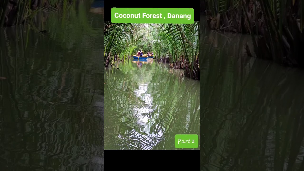 #08 Danang, Vietnam-2 🇻🇳😍❤️Coconut Forest 