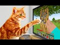 I taught my cats to beat minecraft in real life