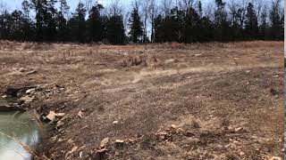 IMG 5358