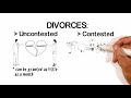 Divorce in Georgia - Video explanation