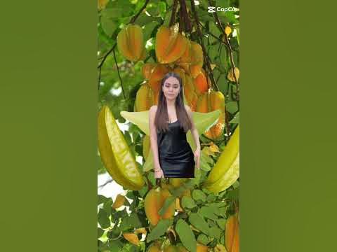 balingbing fruit #shortsvideo #trending #sweet #shortsvideo - YouTube