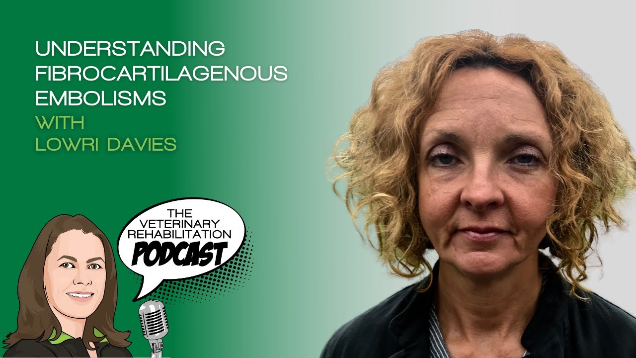 Understanding Fibrocartilaginous Embolism, with Lowri Davies