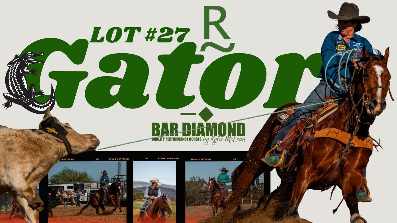 ALWAYS ELECTRIC “Gator” The Horse Sale at Rancho Rio @highcallmedia @bardiamondqualityperforman3143 