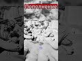 Разговор перед фронтом #вов