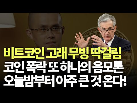 딱걸린 비트코인 고래들의 움직임이 가르키는 가격의 방향은 코인시장 폭락의 또하나의 음모론 생김 오늘밤부터 금요일까지 잠 못 자는 중요한 이벤트가 시작된다 