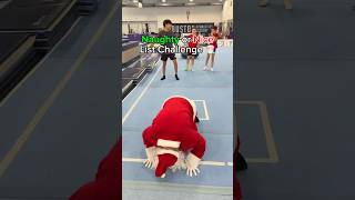 Naughty Or Nice List Challenge