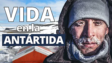 ¿Cuál es la población humana en la Antártida?
