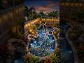 Giant Fish Pond Transformation in Backyard
