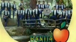 Banda La Manzanera - Amor De Estudiante