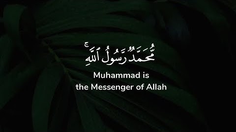 ياسر الدوسري - سورة الفتح - اية ٢٩ | محمد رسول الله والذين معه أشداء على الكفار رحماء بينهم ..