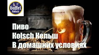 Пиво клон Кельш Kölsch варим в домашних условиях. Видео 18+