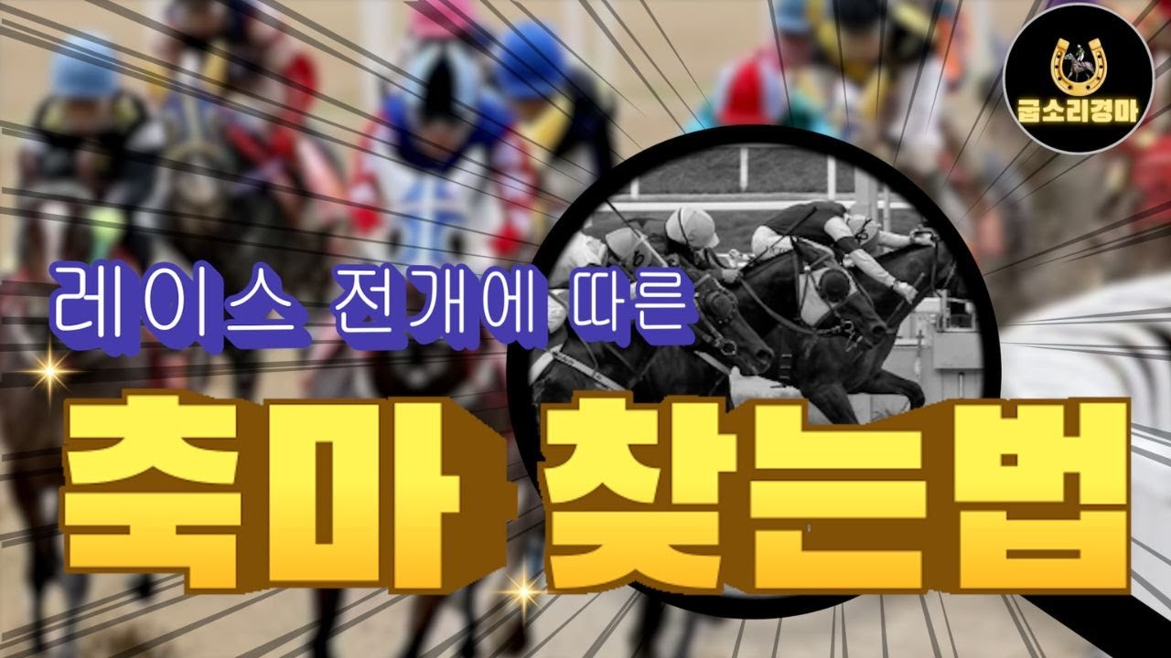 [경마] 축마!! 어떻게 찾냐구요??(레이스 전개에 따른 축마 찾는법)#경마#축마찾는법#경마분석노하축마#굽소리경마