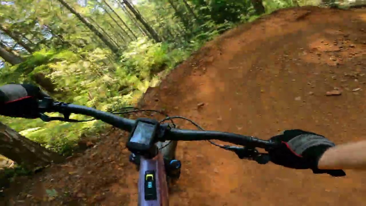 Alsea Falls MTB: Springboard pt 1