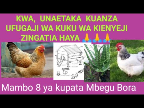 Video: Jinsi Ya Kufuga Kuku Wanaotaga