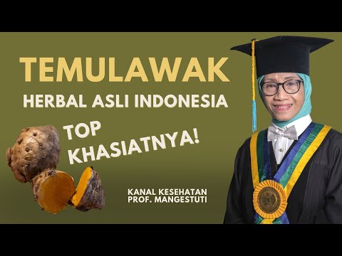 Manfaat Temulawak Putih Untuk Lambung