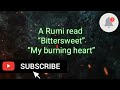 A Rumi read (Bittersweet and A burning heart)