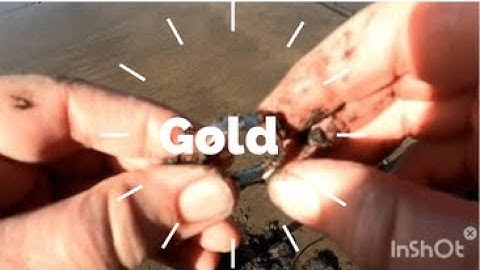 Gold Found With The Tarsacci MDT 8000