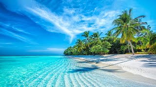 Beautiful Relaxing Music - Stop Overthinking, Mind Calm, Serene Seascapes for Ultimate Relaxation #8