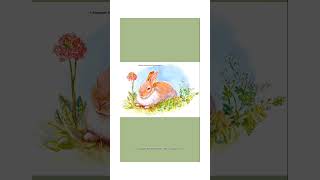 What Do Bunnies Do All Day?