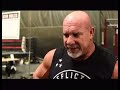 Goldberg Workout Affliction Gym