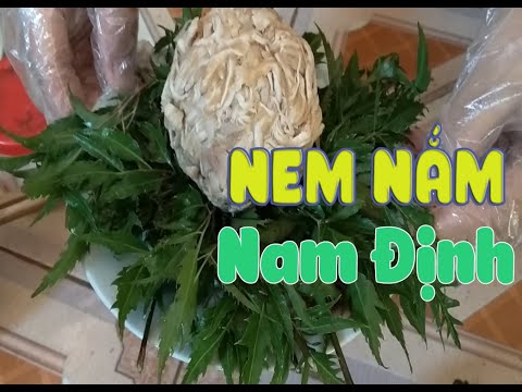 Nem nắm Nam Định - Vietnam travel TV