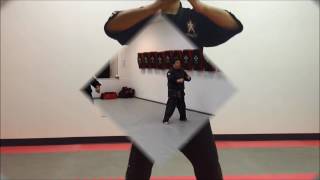 Amorosi's Mixed Martial Arts: Kata (forms) Comparison - hard vs. soft screenshot 1