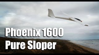 Phoenix 1600 Pure Sloper