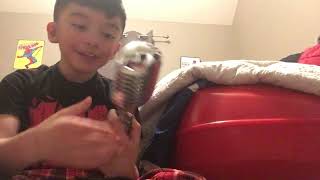 Merry Christmas My First Pyle Vintage Microphone