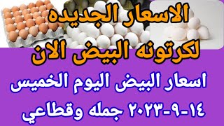 سعر البيض اسعار البيض اليوم الخميس ١٤-٩-٢٠٢٣ جملة وقطاعي فى مصر
