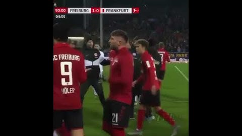 Massive Fight in Football Match😱😱😱(Freiburg-Eintracht Frankfurt)