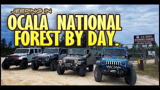 Jeeping Ocala National Forest by Day. Part 1...